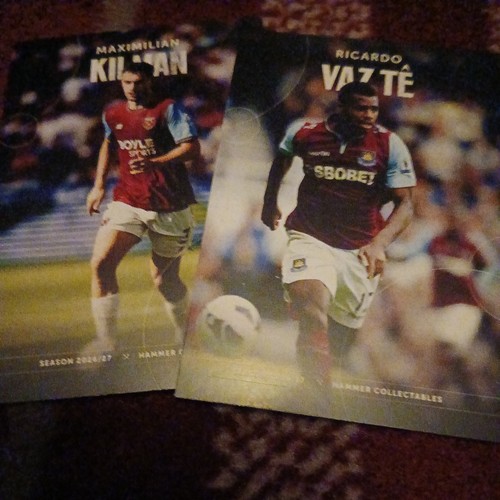 Ricardo vaz max kilman - ricardo,