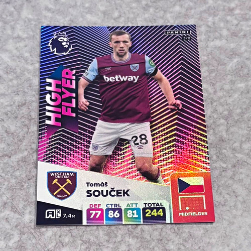 Panini adrenalyn premier - panini,